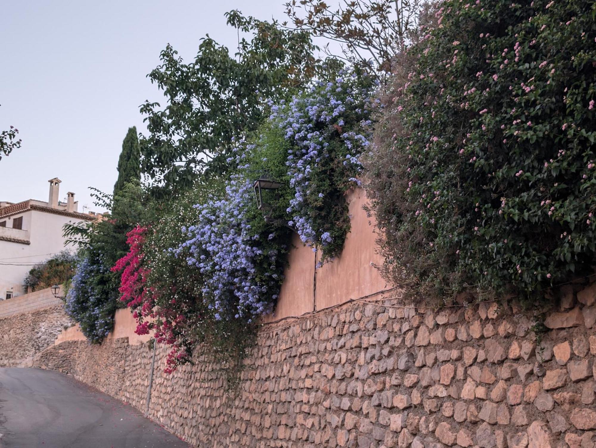 El Paraiso Del Azahar Chite Dış mekan fotoğraf